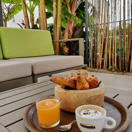 D'hôtes - Les Palmiers